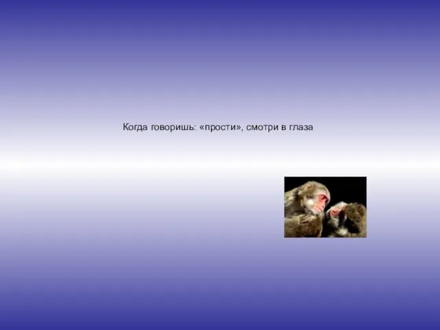 Когда говоришь: «прости», смотри в глаза