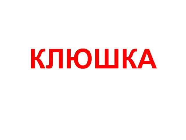 КЛЮШКА