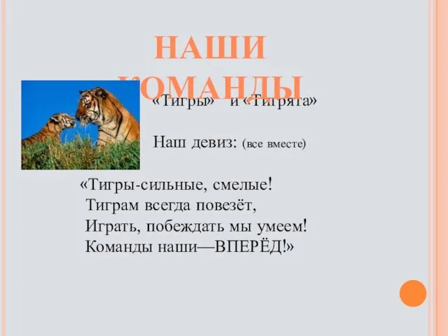 «Тигры» и «Тигрята» Наш девиз: (все вместе) «Тигры-сильные, смелые! Тиграм всегда повезёт,