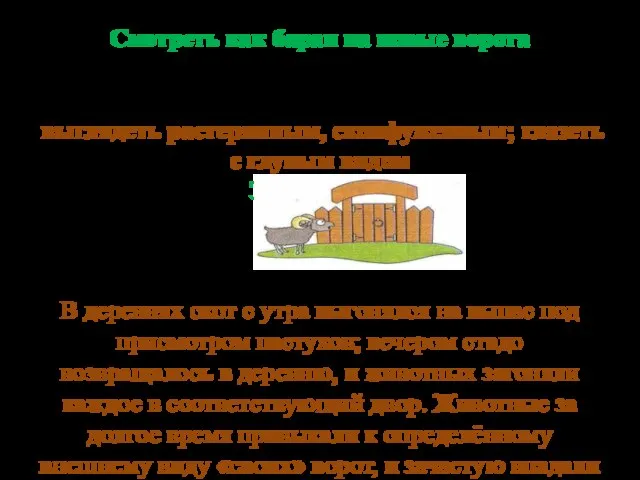 Смотреть как баран на новые ворота выглядеть растерянным, сконфуженным; глазеть с глупым