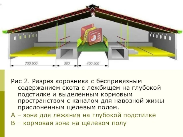 Рис 2. Разрез коровника с беспривязным содержанием скота с лежбищем на глубокой