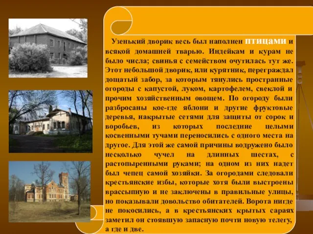 Узенький дворик весь был наполнен птицами и всякой домашней тварью. Индейкам и