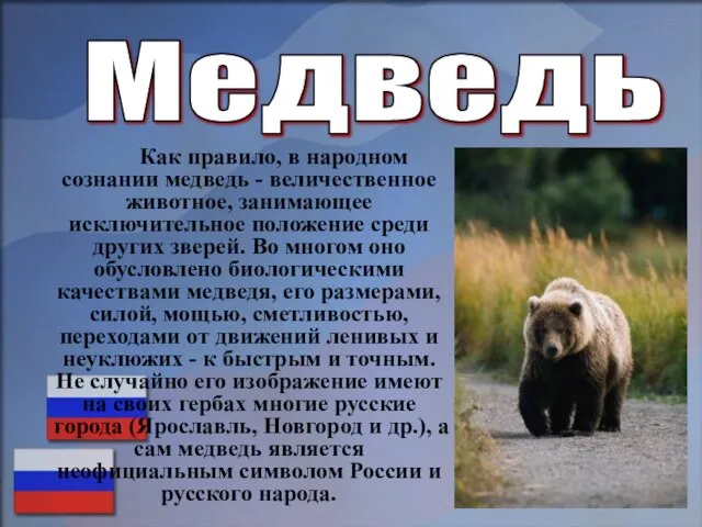 Медведь Как правило, в народном сознании медведь - величественное животное, занимающее исключительное