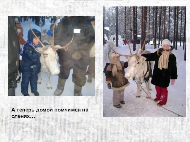 А теперь домой помчимся на оленях…