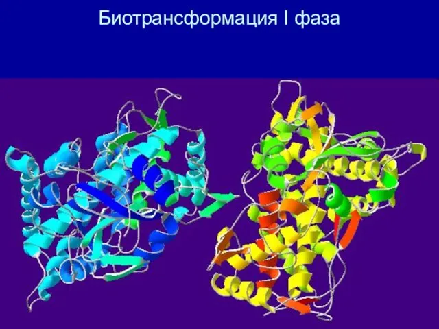 Биотрансформация I фаза