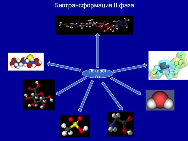 Биотрансформация II фаза Лекарство