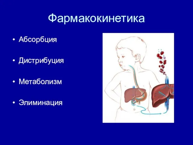 Фармакокинетика Абсорбция Дистрибуция Метаболизм Элиминация