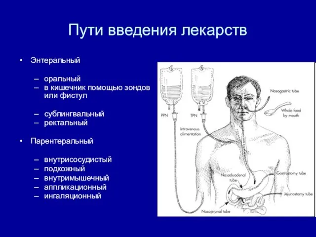 Пути введения лекарств Энтеральный оральный в кишечник помощью зондов или фистул сублингвальный