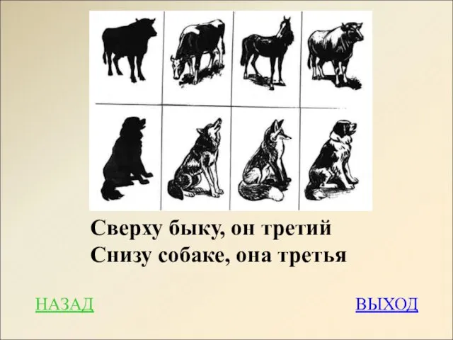 НАЗАД ВЫХОД Сверху быку, он третий Снизу собаке, она третья