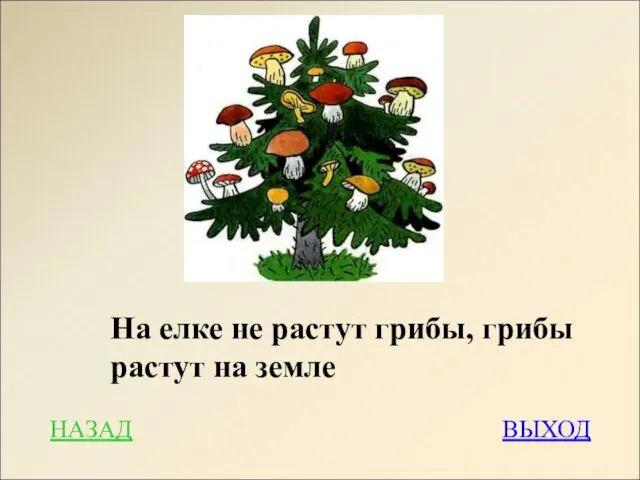 НАЗАД ВЫХОД На елке не растут грибы, грибы растут на земле