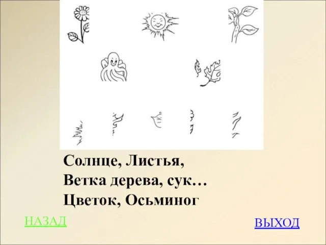 Солнце, Листья, Ветка дерева, сук… Цветок, Осьминог ВЫХОД НАЗАД