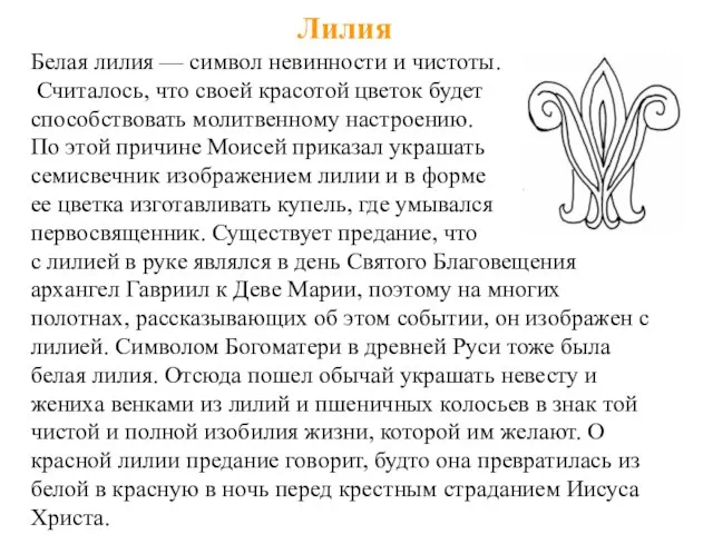 Лилия Белая лилия — символ невинности и чистоты. Считалось, что своей красотой