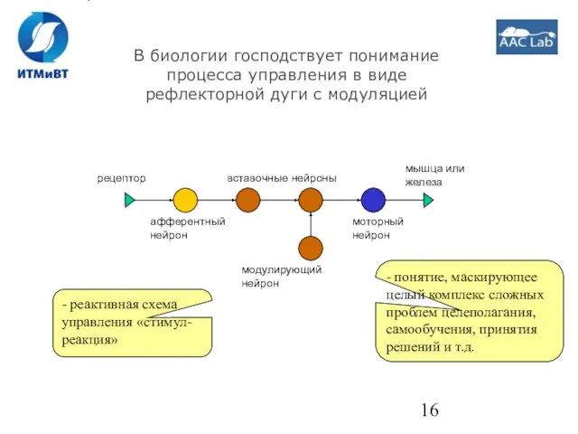 В биологии господствует понимание процесса управления в виде рефлекторной дуги с модуляцией