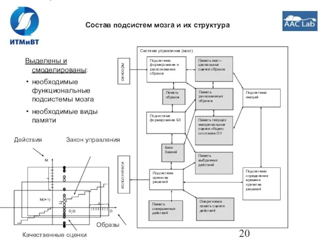 Состав подсистем мозга и их структура Выделены и смоделированы: необходимые функциональные подсистемы