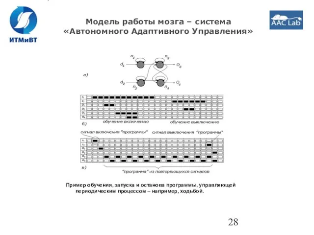 Модель работы мозга – система «Автономного Адаптивного Управления» Пример обучения, запуска и