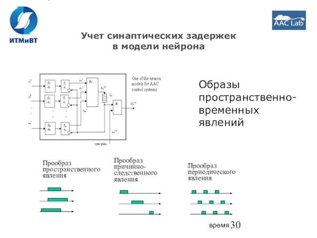 Учет синаптических задержек в модели нейрона Образы пространственно-временных явлений