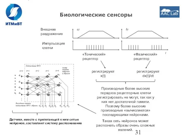 Биологические сенсоры Производные более высоких порядков рецепторные клетки регистрировать не могут, так