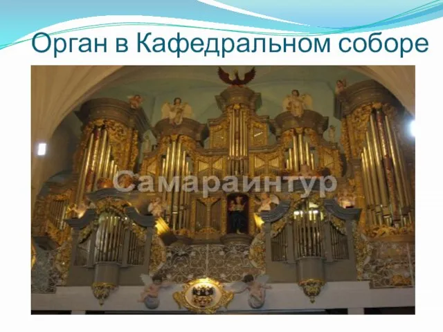 Орган в Кафедральном соборе