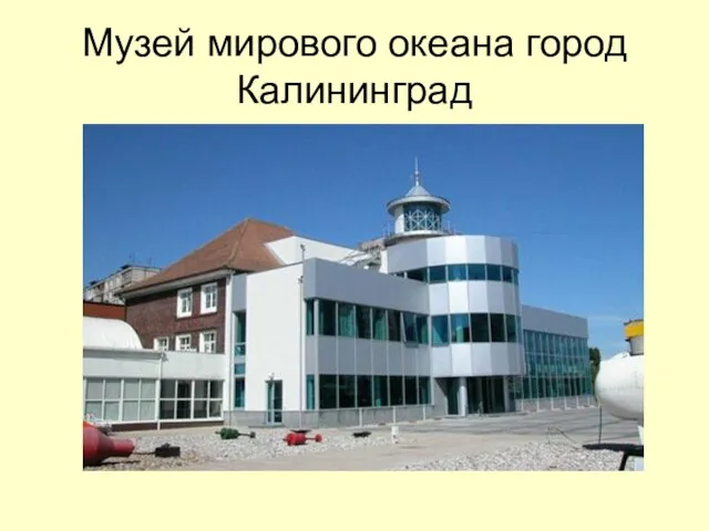 Музей мирового океана город Калининград