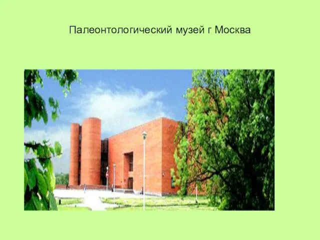 Палеонтологический музей г Москва
