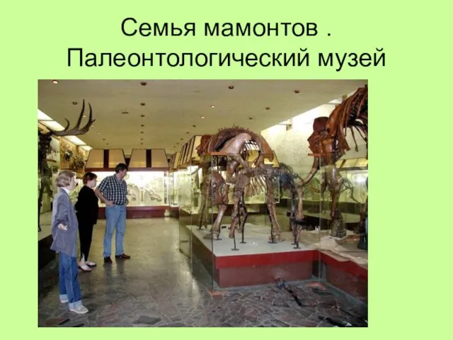 Семья мамонтов .Палеонтологический музей