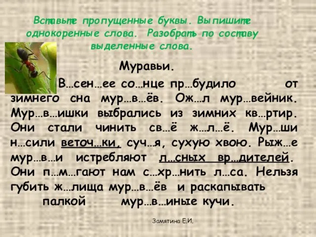 Вставьте пропущенные буквы. Выпишите однокоренные слова. Разобрать по составу выделенные слова. Муравьи.