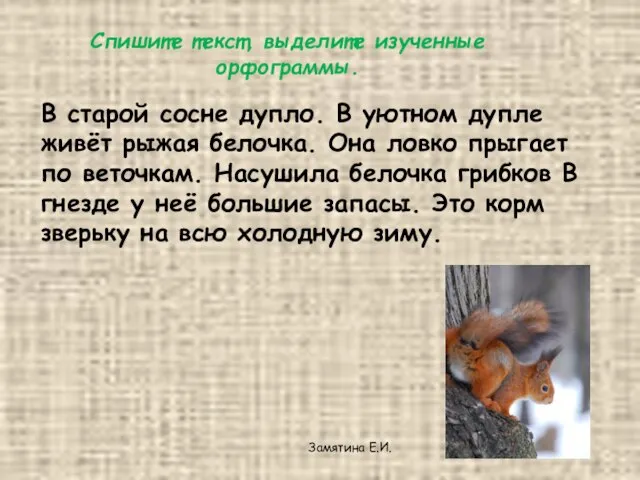 Спишите текст, выделите изученные орфограммы. В старой сосне дупло. В уютном дупле