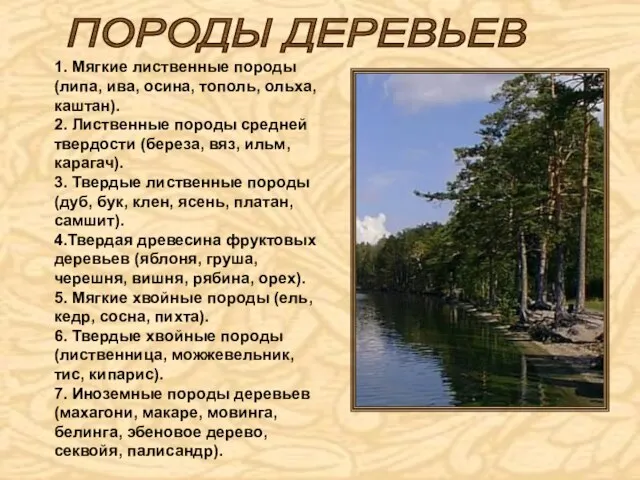 1. Мягкие лиственные породы (липа, ива, осина, тополь, ольха, каштан). 2. Лиственные