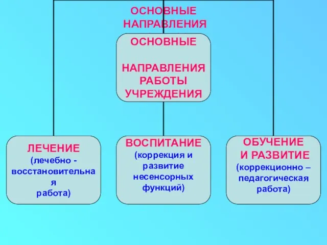 ОСНОВНЫЕ НАПРАВЛЕНИЯ РАБОТЫ УЧРЕЖДЕНИЯ