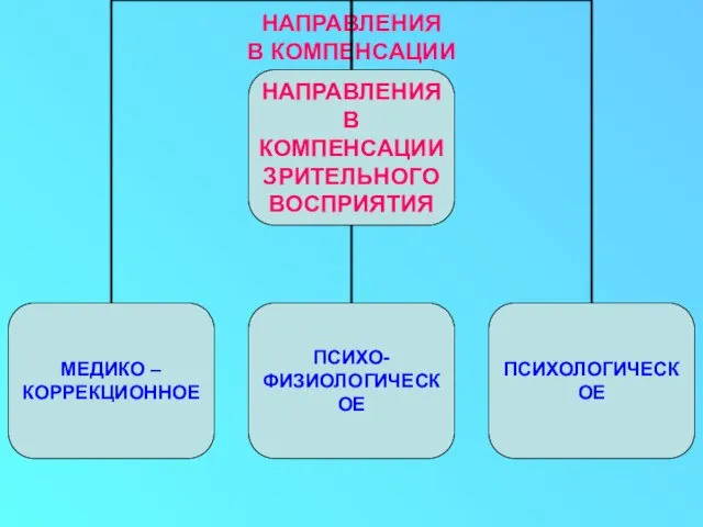 НАПРАВЛЕНИЯ В КОМПЕНСАЦИИ ЗРИТЕЛЬНОГО ВОСПРИЯТИЯ