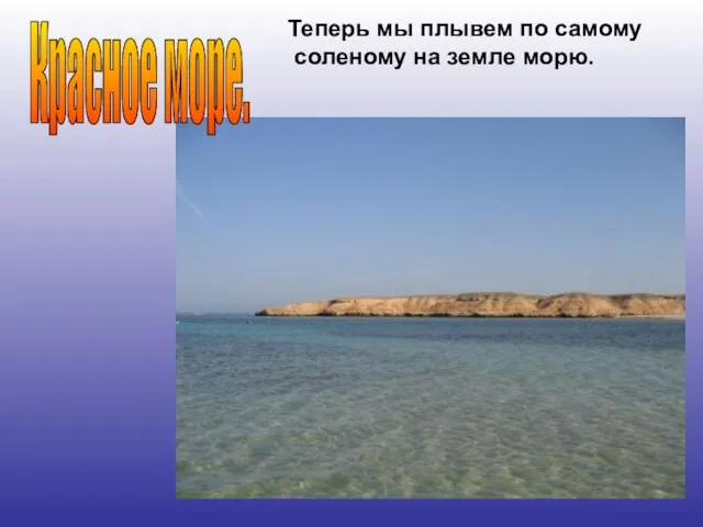 Теперь мы плывем по самому соленому на земле морю. Красное море.