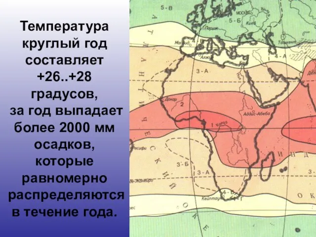 Температура круглый год составляет +26..+28 градусов, за год выпадает более 2000 мм