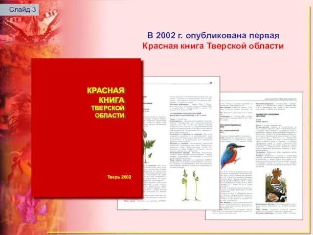 В 2002 г. опубликована первая Красная книга Тверской области Слайд 3