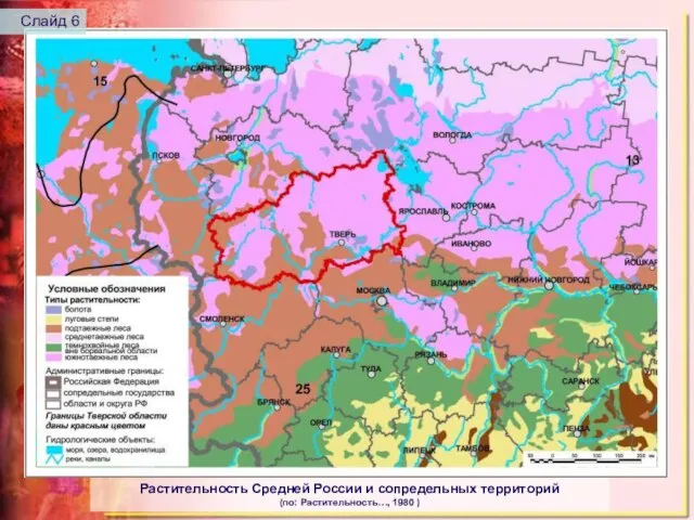 Растительность Средней России и сопредельных территорий (по: Растительность…, 1980 ) Слайд 6