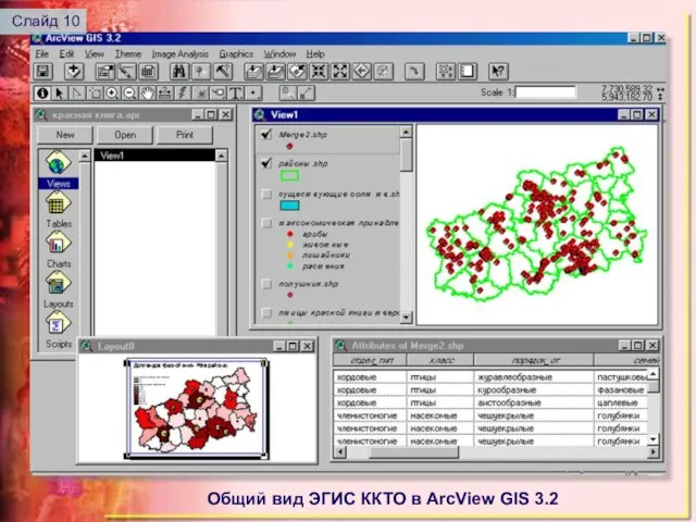 Общий вид ЭГИС ККТО в ArcView GIS 3.2 Слайд 10