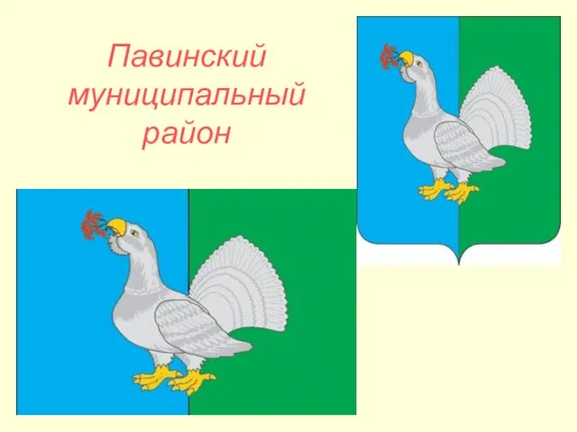 Павинский муниципальный район