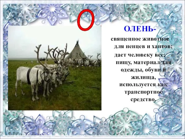 ОЛЕНЬ- священное животное для ненцев и хантов; дает человеку все: пищу, материал