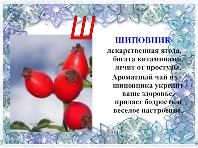 ШИПОВНИК- лекарственная ягода,богата витаминами, лечит от простуды. Ароматный чай из шиповника укрепит