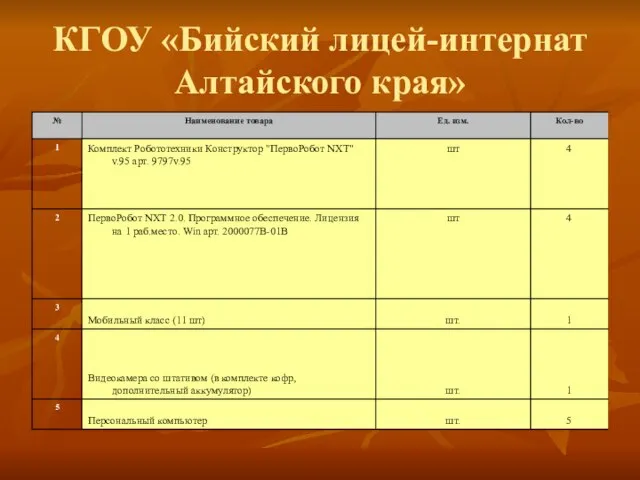 КГОУ «Бийский лицей-интернат Алтайского края»