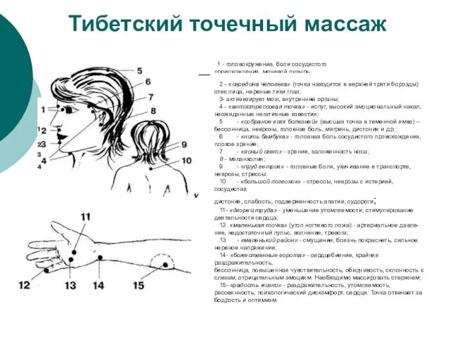 Тибетский точечный массаж 1 - головокружение, боли сосудистого происхождения, мочевой пузырь; 2