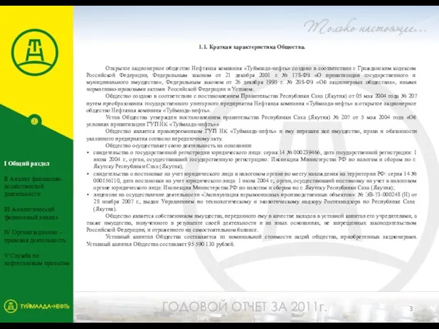 1.1. Краткая характеристика Общества. Открытое акционерное общество Нефтяная компания «Туймаада-нефть» создано в