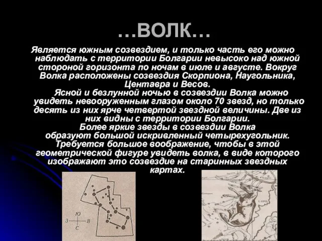 …ВОЛК… Является южным созвездием, и только часть его можно наблюдать с территории