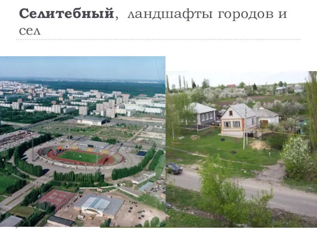 Селитебный, ландшафты городов и сел