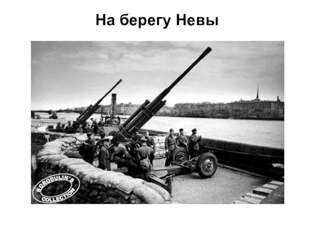 На берегу Невы