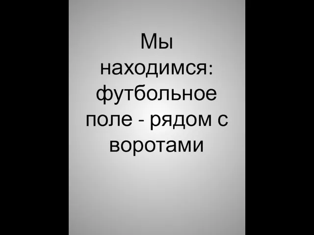 Мы находимся: футбольное поле - рядом с воротами