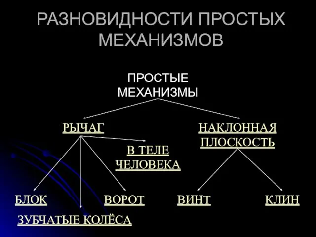 РАЗНОВИДНОСТИ ПРОСТЫХ МЕХАНИЗМОВ ПРОСТЫЕ МЕХАНИЗМЫ РЫЧАГ НАКЛОННАЯ ПЛОСКОСТЬ БЛОК ВОРОТ ВИНТ КЛИН