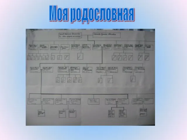 Моя родословная