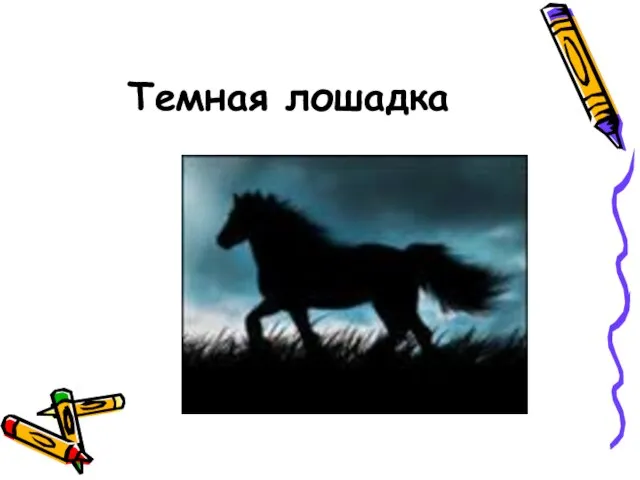 Темная лошадка