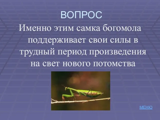 ВОПРОС Именно этим самка богомола поддерживает свои силы в трудный период произведения