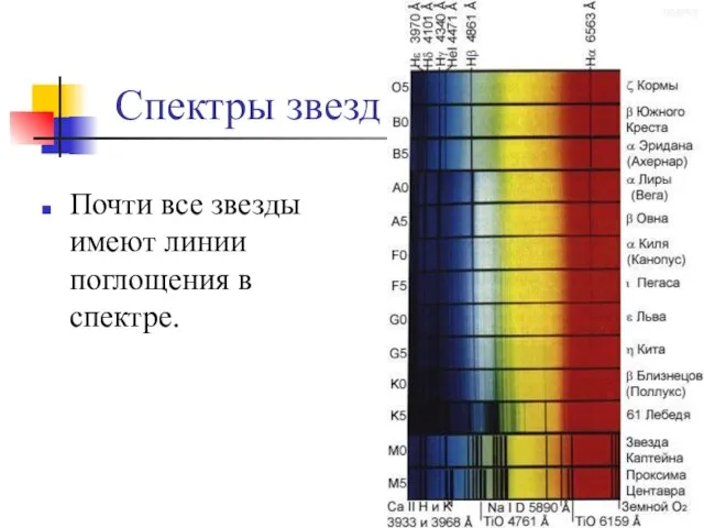 Спектры звезд Почти все звезды имеют линии поглощения в спектре.